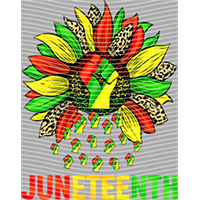 Juneteenth-JU  310
